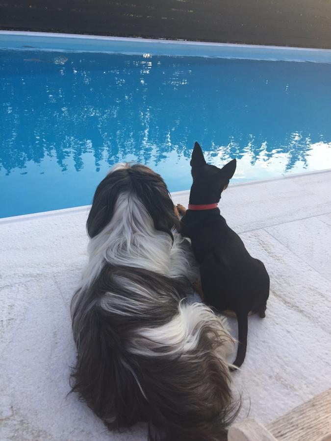 Villa Glyfada Spilia  Eksteriør billede